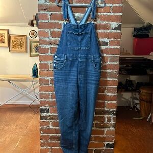 Silver jeans overalls